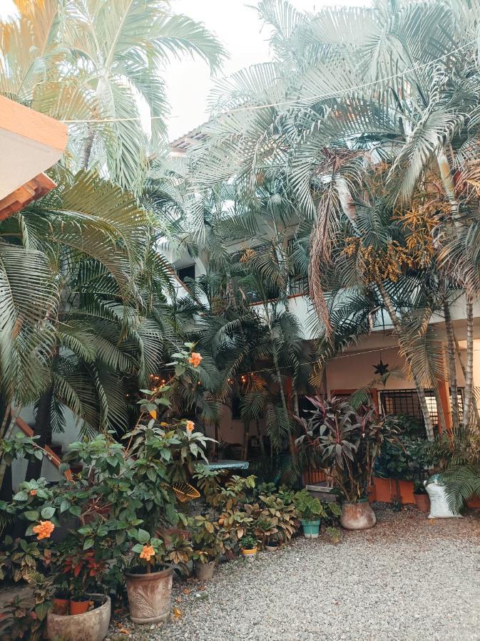 Hotel Villa Tulipanes Zihuatanejo Extérieur photo